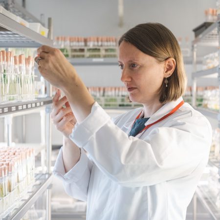 Scientist inspecting tube of algae