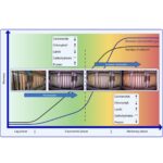 Graphical Abstract